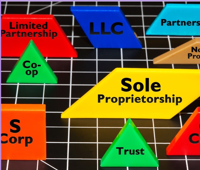 S Corporation