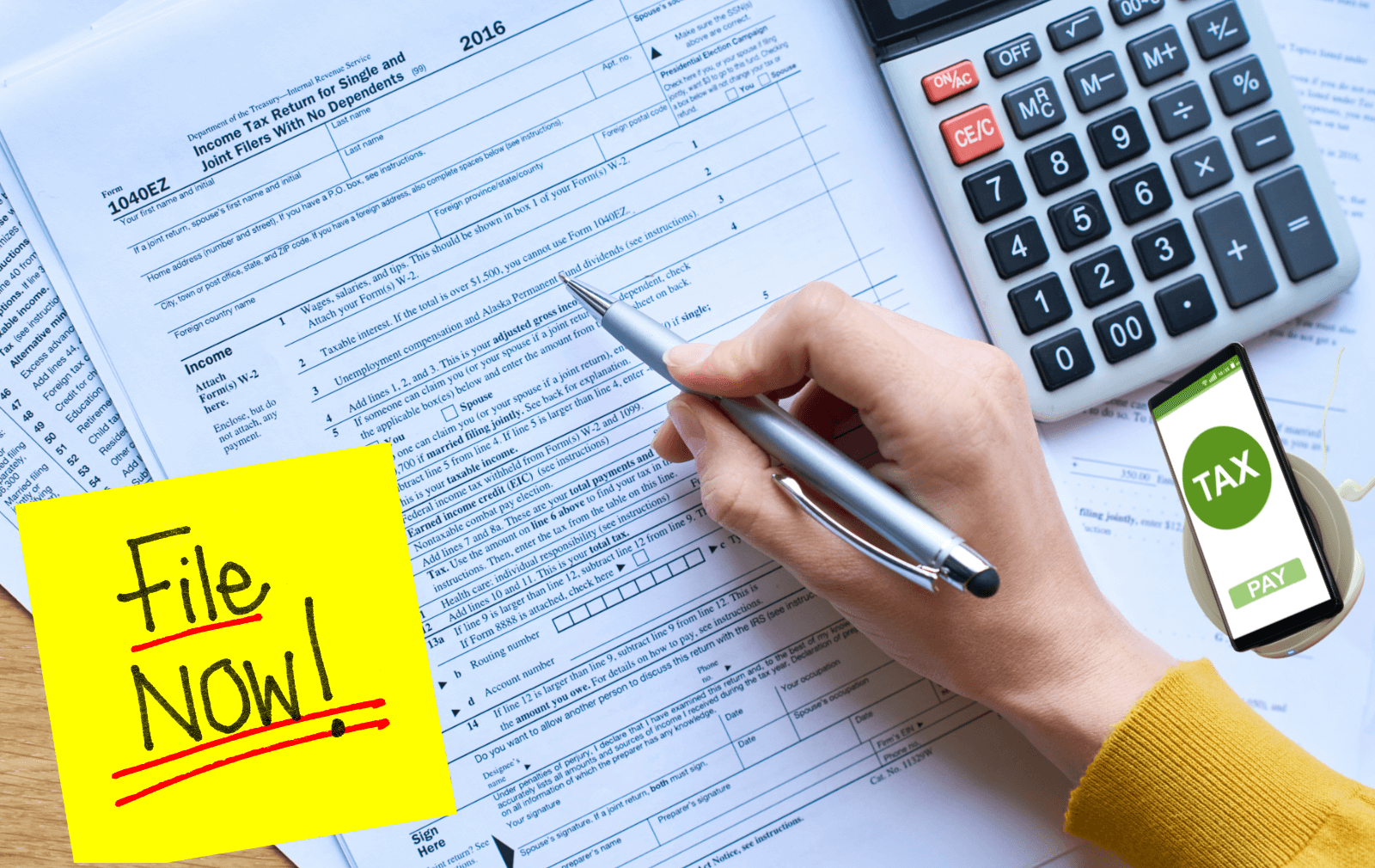 Back Tax Filing