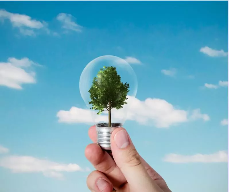 Energy Efficiency Upgrades