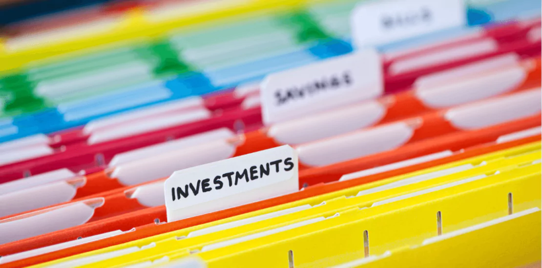 limited liability company (LLC)