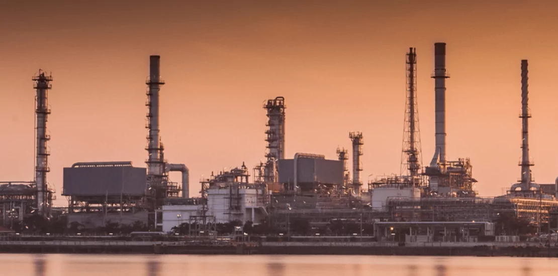 harsh truths about LLCs