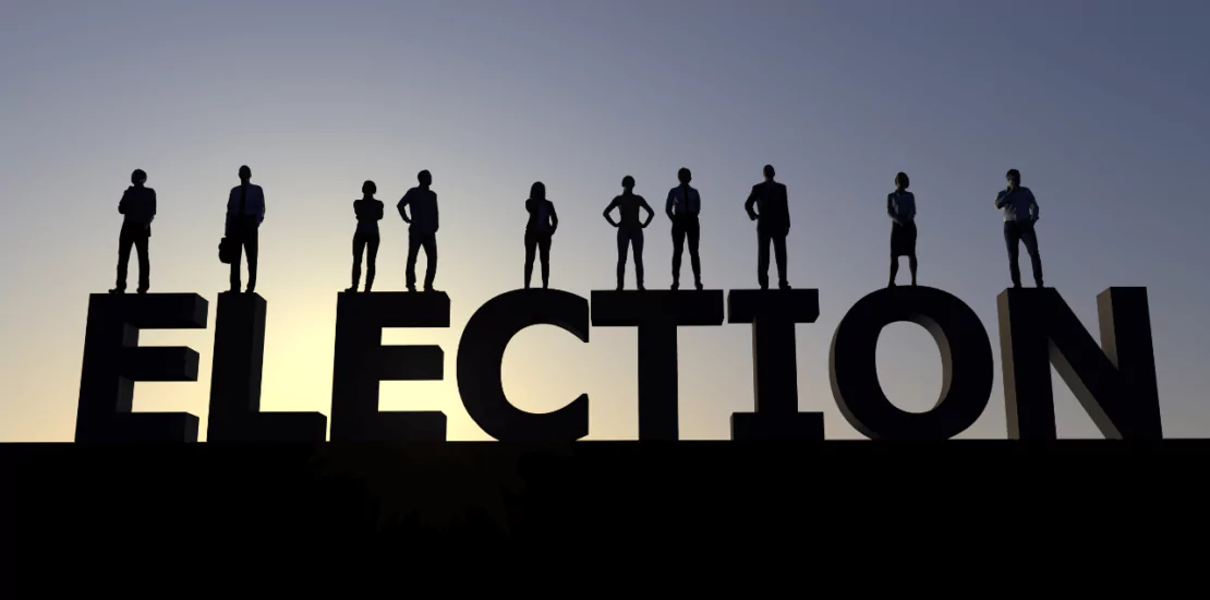 Sec. 338(g) elections