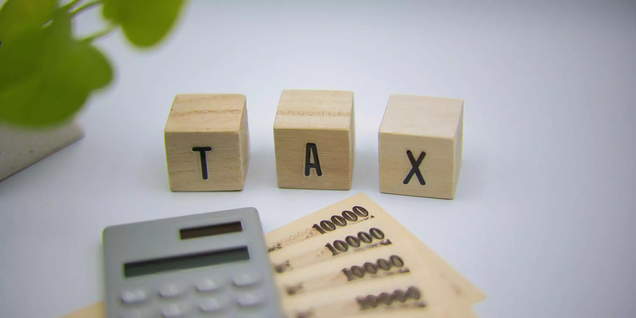 entity-structures-tax-levers